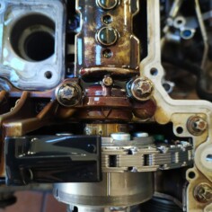 Steuerzeit: Einlass (perfekt)