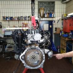 Komplett: Bereit zum Wiedereinsetzten